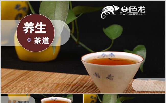 养生茶茶文化知识茶道品尝动态PPT模板缩略图