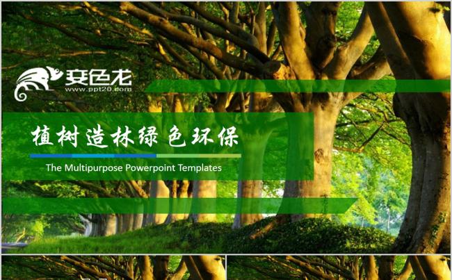 森林绿色环保公益植树节植树造林PPT模板缩略图