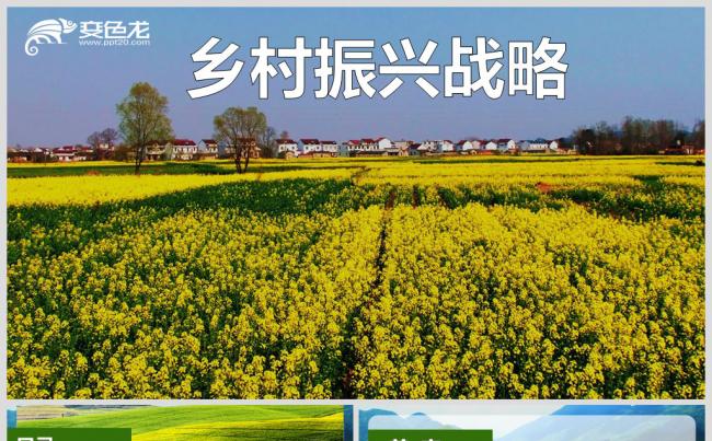 乡村振兴战略缩略图