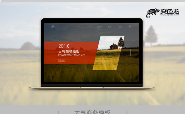 斜排版大气商务可视化PPT模板缩略图