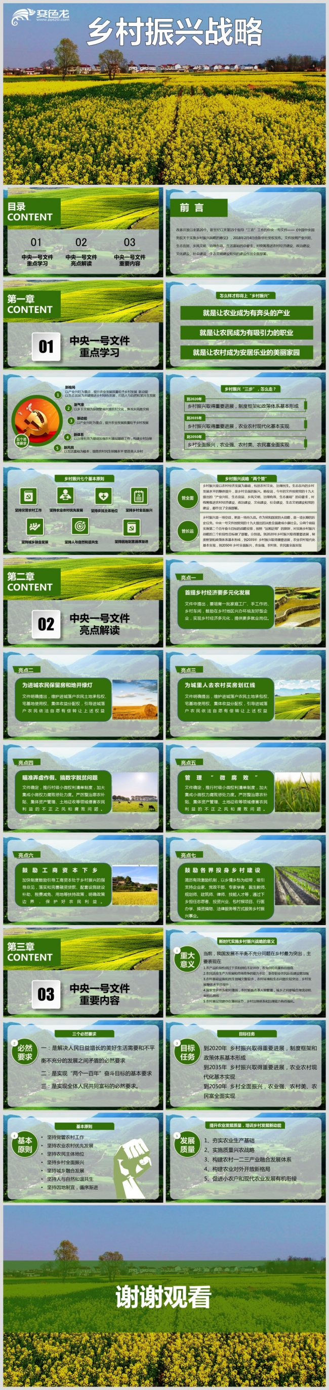 乡村振兴战略