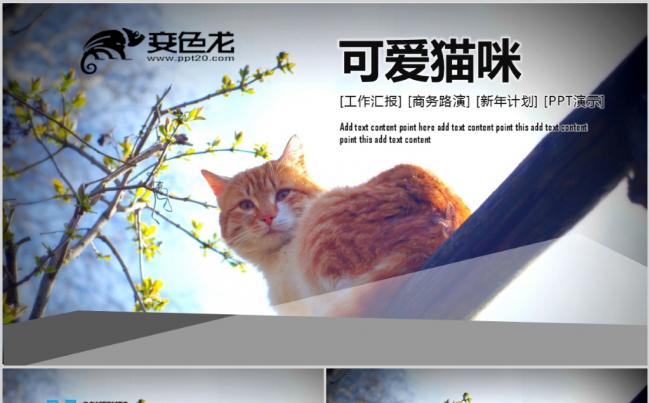 可爱猫喵PPT模板缩略图