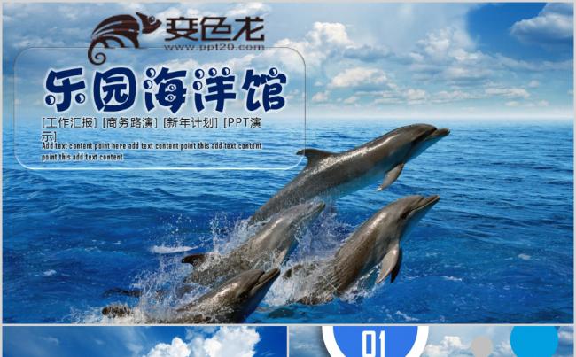 海豚海洋生物海底世界环境保护鱼教育课件PPT动态模板缩略图