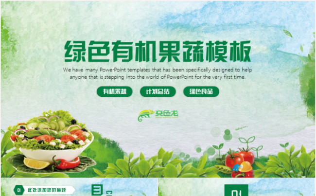 简约绿色健康有机无公害果蔬农产品蔬菜宣传工作汇报计划PPT缩略图