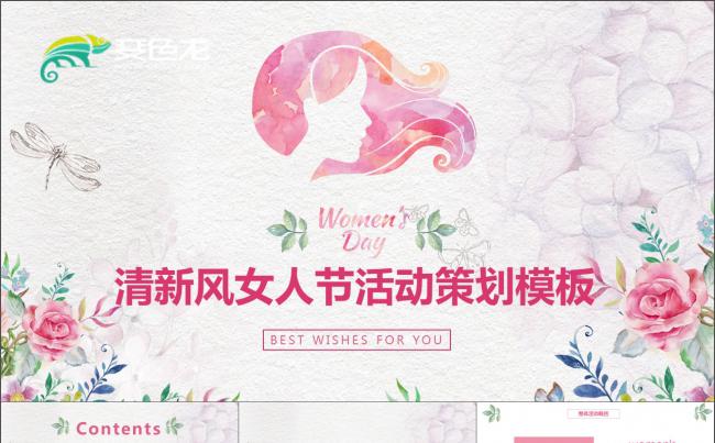 清新风女人节活动策划PPT模板 38妇女节活动策划案PPT缩略图
