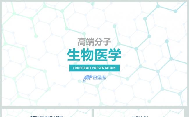 简约科研医学医疗机构工作总结PPT动态模板缩略图