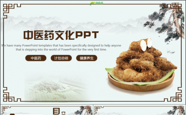 中医药文化个人述职工作总结工作计划总结PPT缩略图