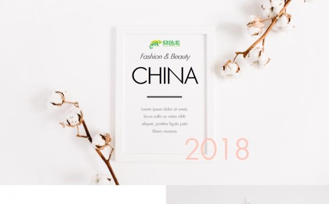 【狂人作品】创意清新简约唯美营销文案策划PPT模版缩略图