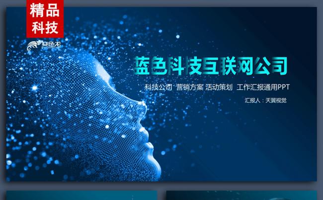 【天翼视觉】精品实用科技互联网公司简介模版缩略图