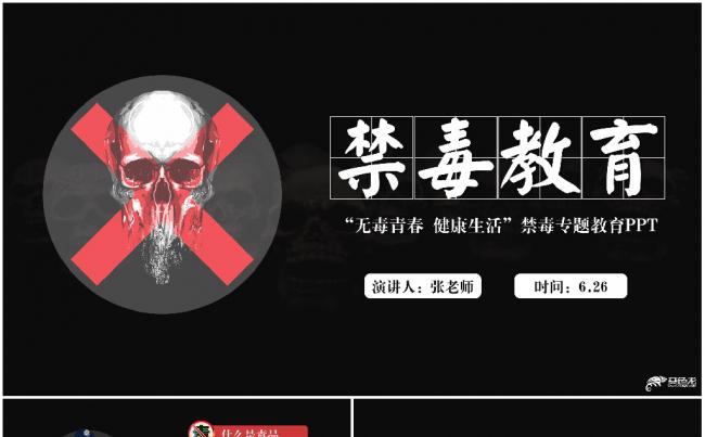 青少年禁毒宣传教育预防毒品PPT缩略图