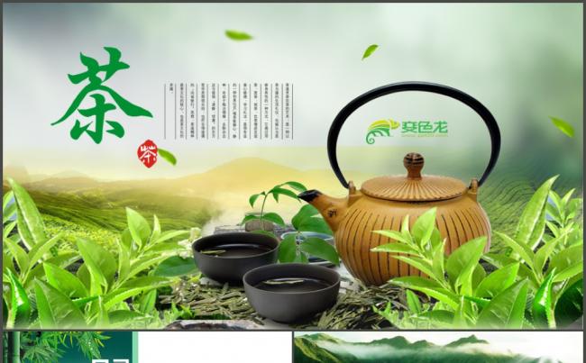 健康养生中国中国茶文化ppt模板 茶道 介绍 养生馆 茶艺缩略图