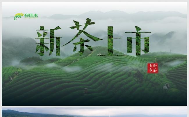 春茶上市茶文化宣传茶道动态PPT模板缩略图