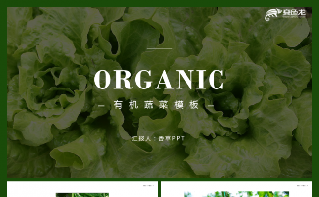 【香草PPT】绿色蔬菜新鲜蔬菜有机蔬菜健康饮食工作汇报模板缩略图