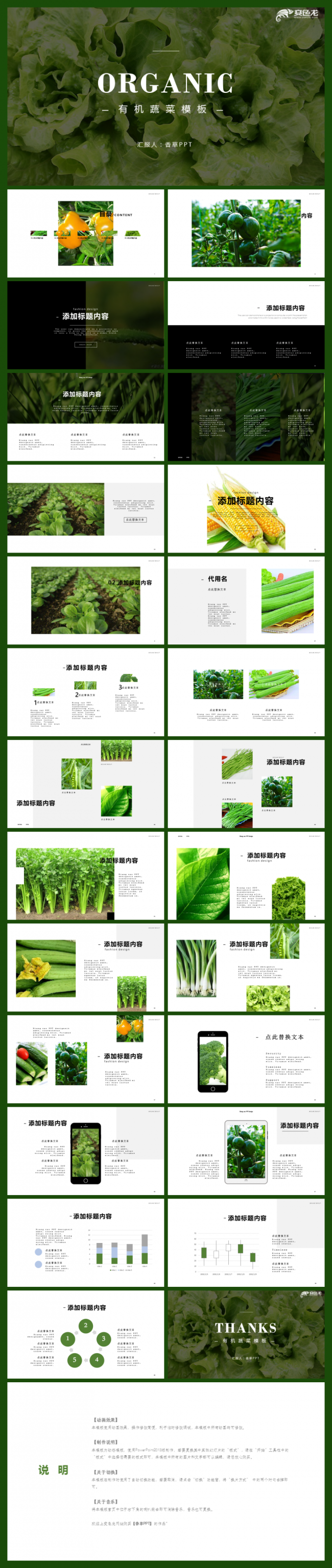 【香草PPT】绿色蔬菜新鲜蔬菜有机蔬菜健康饮食工作汇报模板