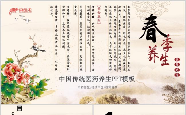  中医养生春季滋补中草药保健PPT模板缩略图