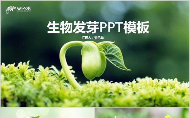春天希望发芽绿色生物课件动态ppt模板缩略图