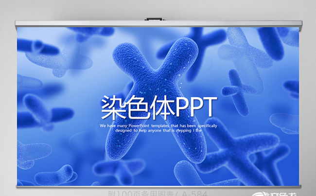蓝色医疗染色体动态PPT 封面含PS 培训工作 年终总结缩略图