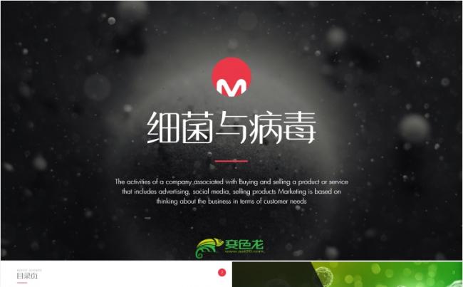 【狂人作品】细菌与病毒医学研究报告医科论文PPT模版缩略图