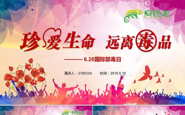 全国禁毒日珍爱生命远离毒品安全宣传教育PPT模板缩略图