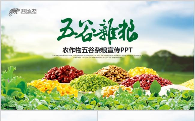 农业科技农产品农作物五谷杂粮PPT模板缩略图