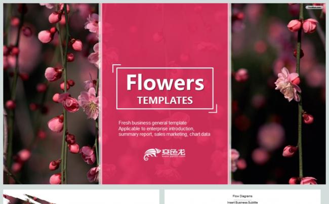美丽花卉浪漫大自然通用PPT模板缩略图