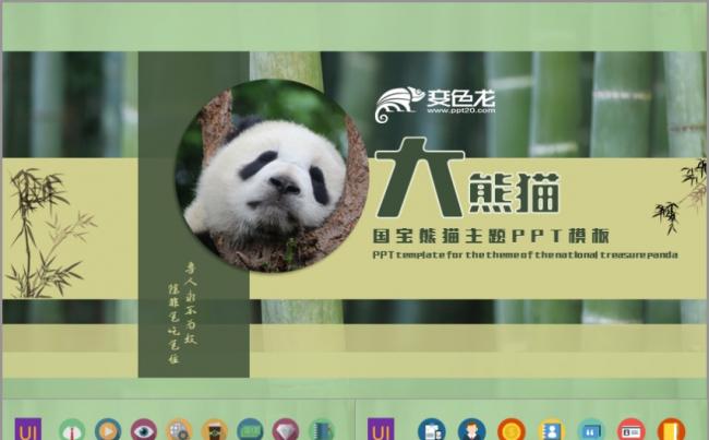 国宝熊猫主题PPT模板缩略图