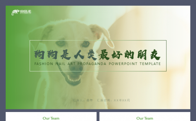 狗萌宠犬宠物金毛阿拉斯加雪橇犬萨摩耶拉布拉多边牧中华田园犬缩略图