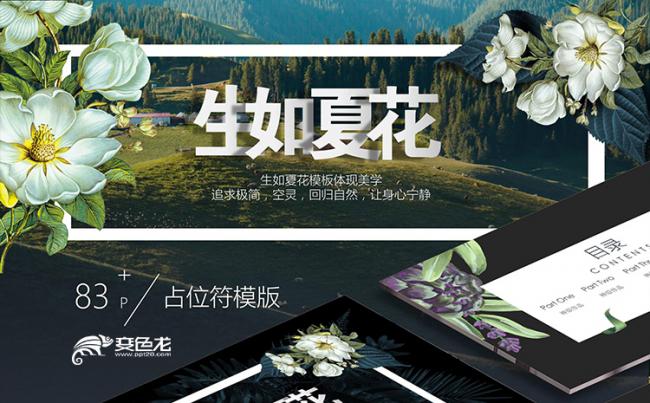 极简极美欧美风格：生如夏花 【天翼视觉】缩略图