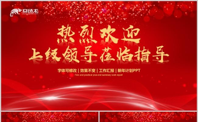 详细热烈欢迎领导莅临指导检查PPT模板缩略图