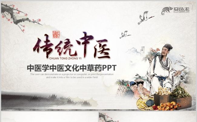 古典传统中医学中医文化中草药经脉经络PPT缩略图