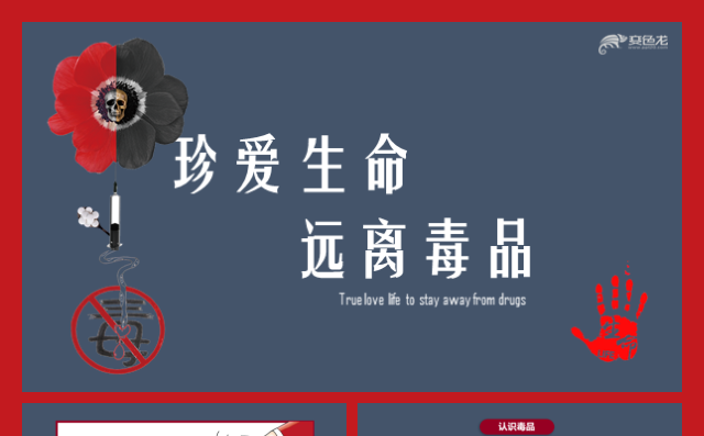 珍爱生命原理毒品宣传打击犯罪中学生毒品教育拒绝毒品模板缩略图
