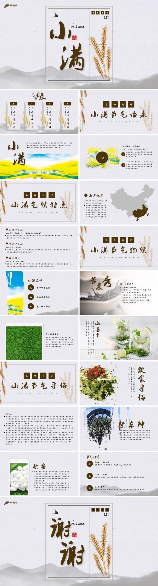 二十四节气中国风小满班会培训ppt