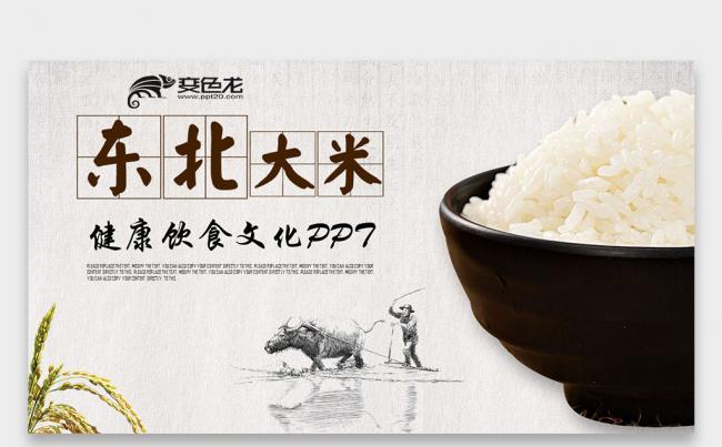 健康饮食文化绿色食品优质农业产品东北大米PPT模板缩略图