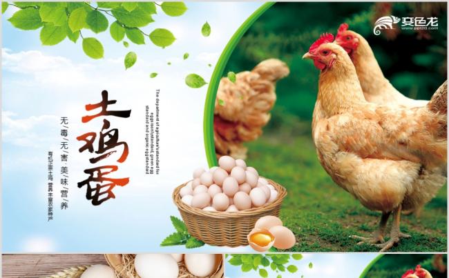 土鸡蛋PPT绿色有机农家土鸡有机食品缩略图