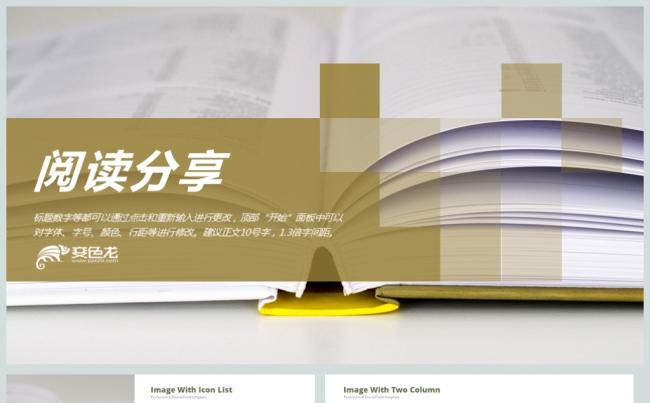 稳重大气读书分享阅读日PPT模板缩略图