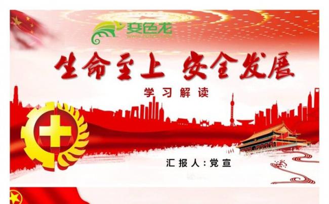 2018年生命至上安全发展安全生产月课件PPT缩略图