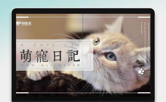  【萌翻系列】 可爱猫咪宠物画册模板|动物|儿童缩略图