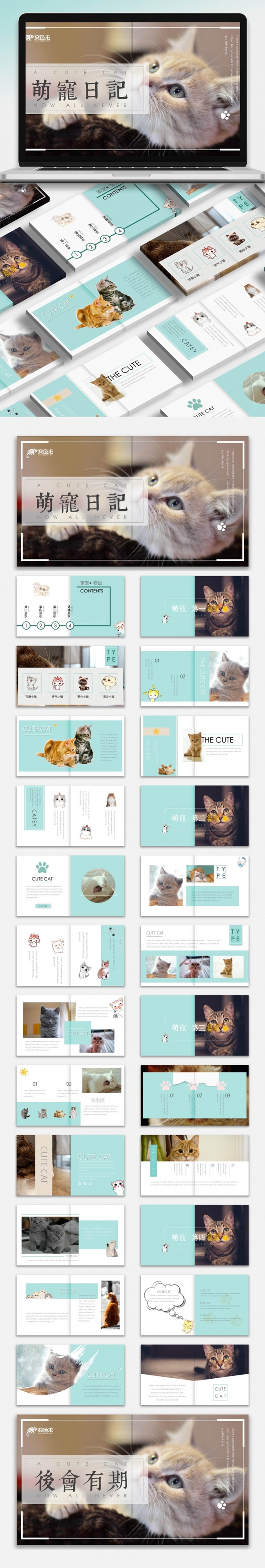  【萌翻系列】 可爱猫咪宠物画册模板|动物|儿童