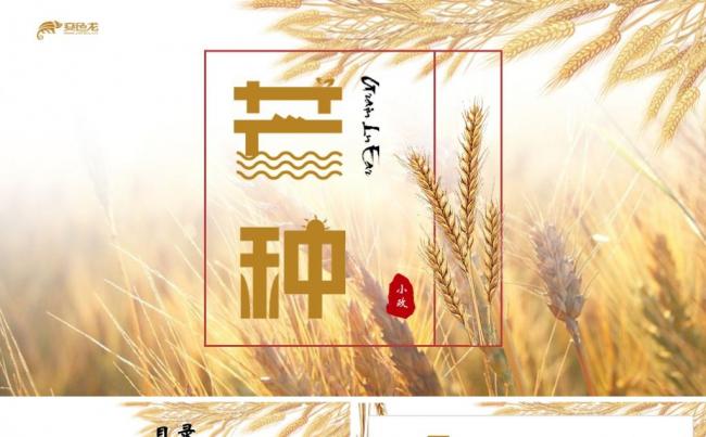 二十四节气中国风芒种培训班会ppt缩略图