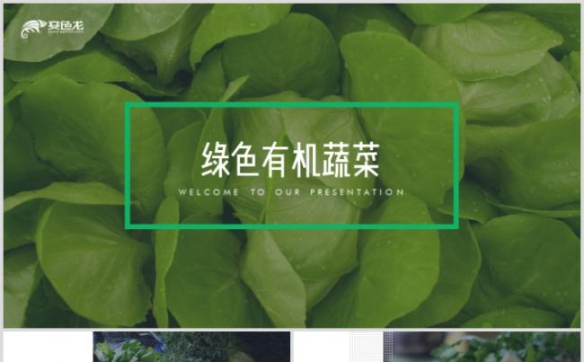 绿色天然无公害农产品有机蔬菜PPT模板缩略图