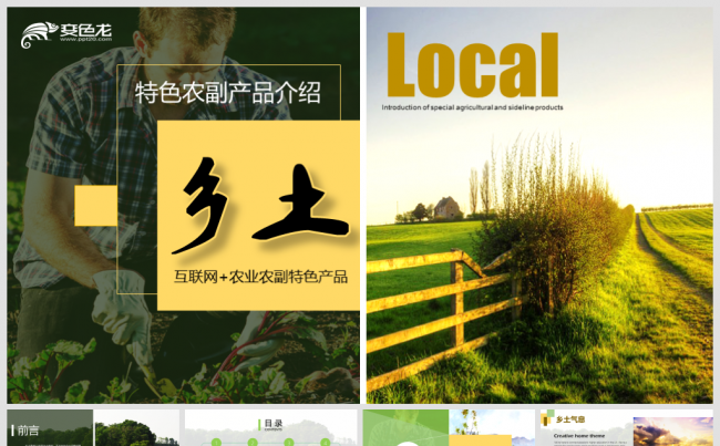 【境海】2018乡土农业村庄生态圈农产品特产介绍商业计划书缩略图