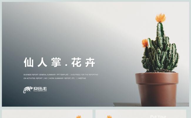  简约花卉花店仙人掌PPT模板缩略图