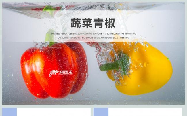 简约蔬菜青椒超市活动策划PPT模板缩略图