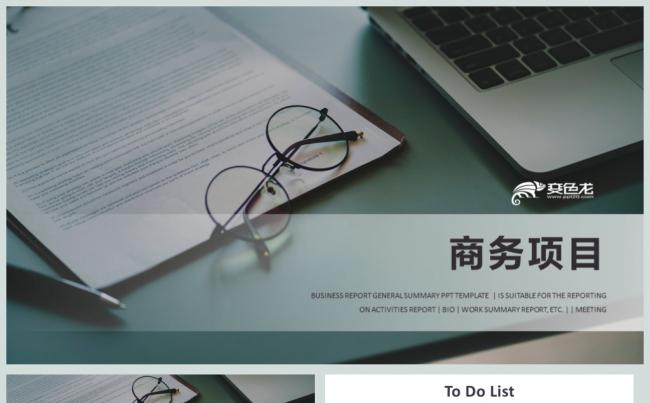 稳重商务项目策划季度总结PPT模板缩略图