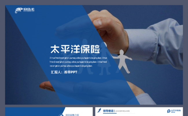 太平洋保险保险单人寿意外保险财产保险金融工作模板缩略图