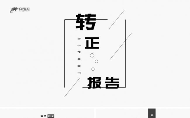 极简文字黑白试用期转正考核ppt缩略图