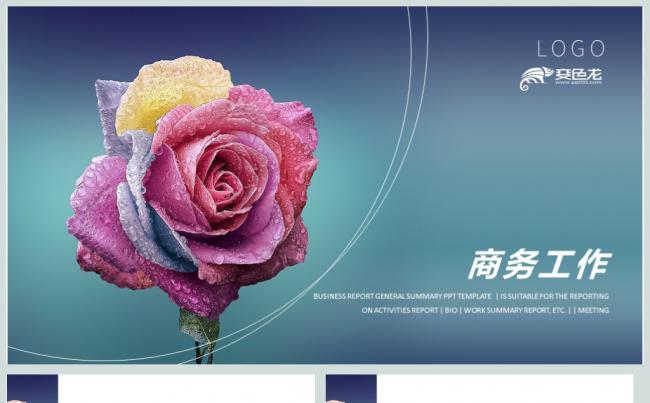 花卉玫瑰花鲜花店项目策划PPT模板缩略图