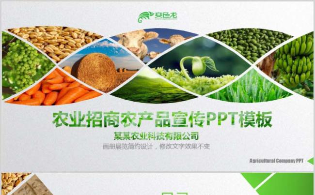 绿色食品进出口食物农业水果蔬菜品牌宣传招商公司简介PPT模板缩略图