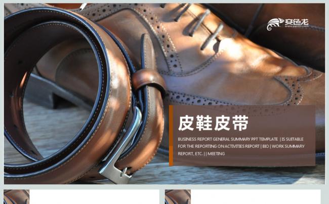 高档商务奢侈品皮鞋皮具PPT模板缩略图