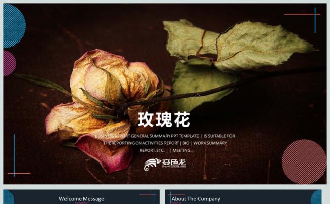 玫瑰花精美商业计划书PPT模板缩略图